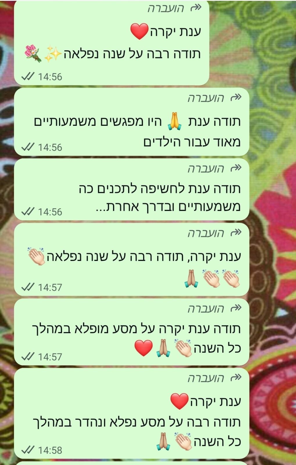 תמונה של WhatsApp_ 2025-11-11 בשעה 22.30.37_7bf03079